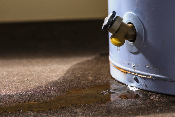 Best Ceiling water damage repair  in Firestone, CO