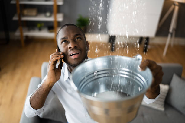 Best Carpet water damage restoration  in Firestone, CO