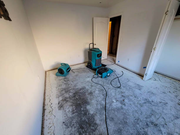 Best Fire Damage Restoration  in Firestone, CO