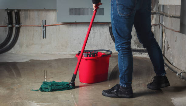 Firestone, CO Water damage restoration Company