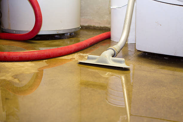 Best Water damage restoration near me  in Firestone, CO