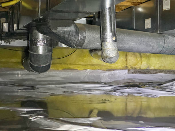 Best Water damage contractors near me  in Firestone, CO